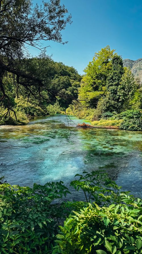 Free A picturesque river flowing through the lush greenery of Vlorë County, Albania, showcasing vibrant nature in summer. Stock Photo