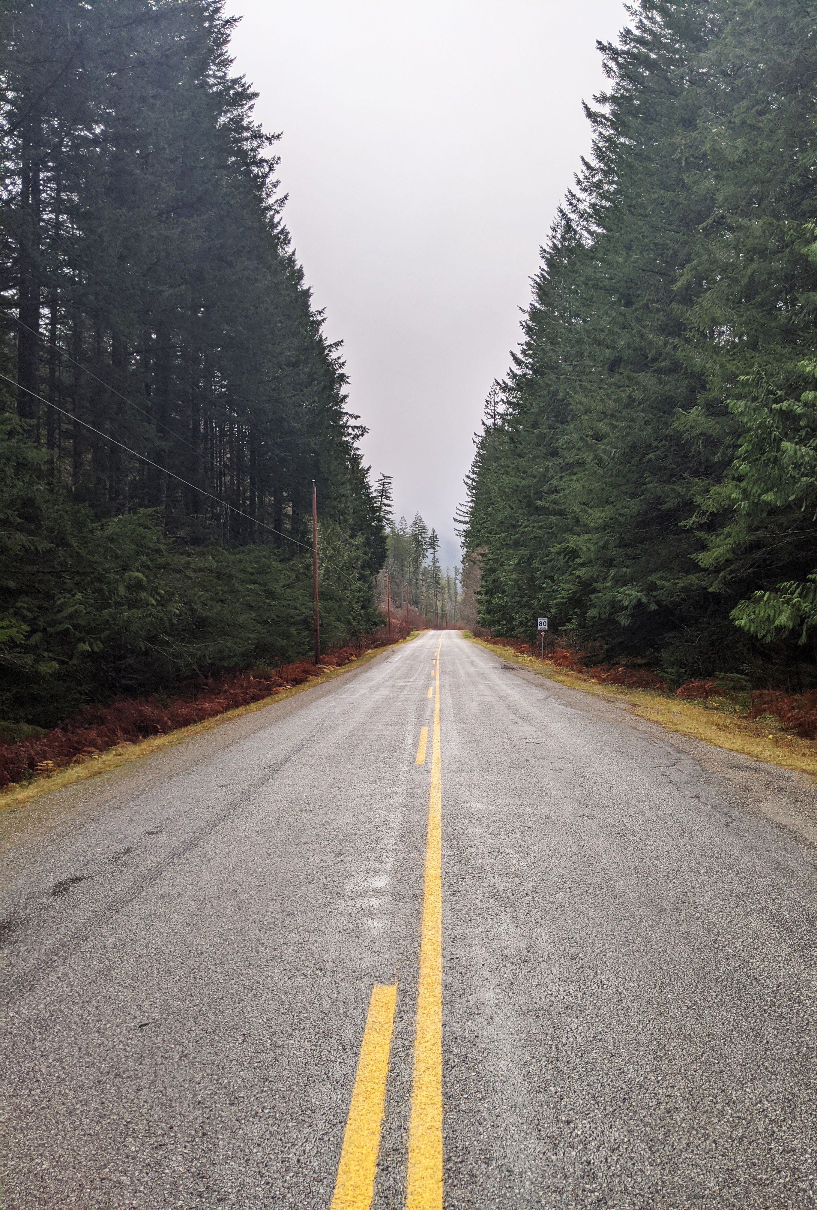 Scenic Empty Road Through Forest in Winter · Free Stock Photo