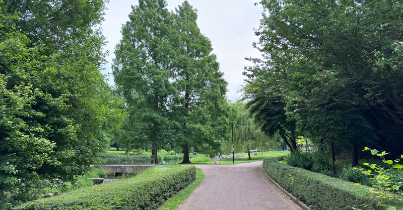 Open Park Cormontreuil : Guide Complet 2026