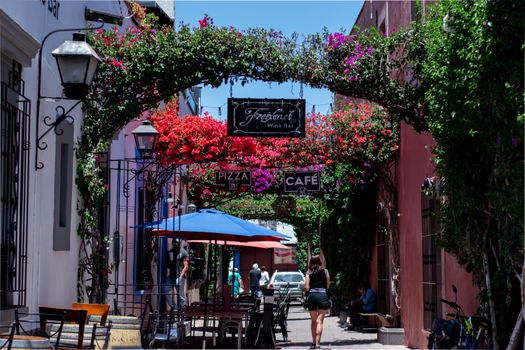 Discover a picturesque alley filled with vibrant flowers in Tequisquiapan, Mexico.