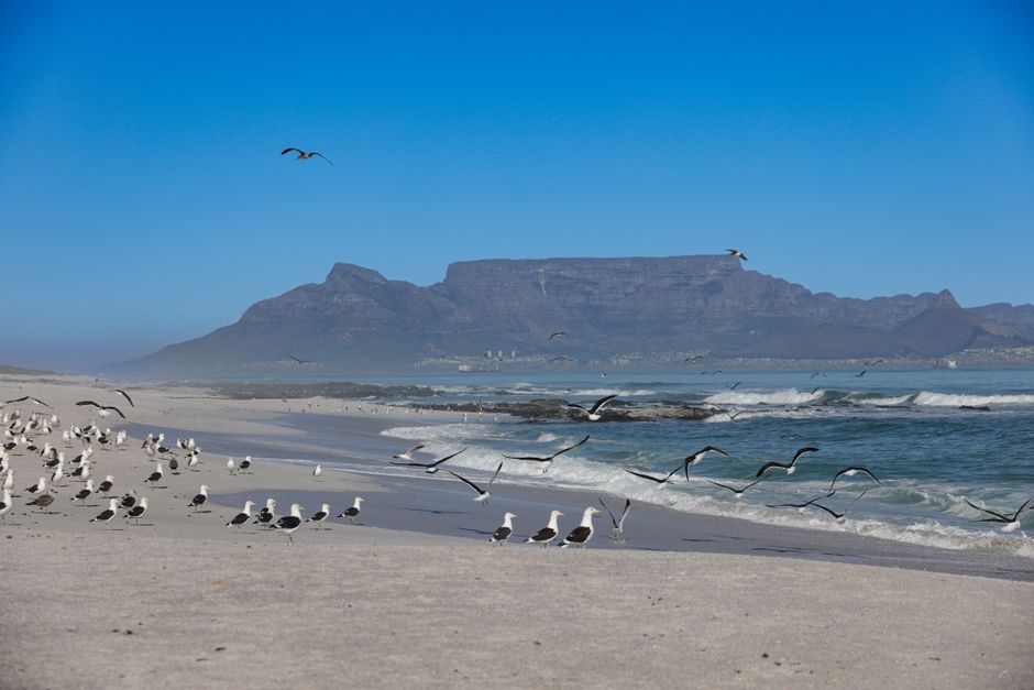 Lookout Beach