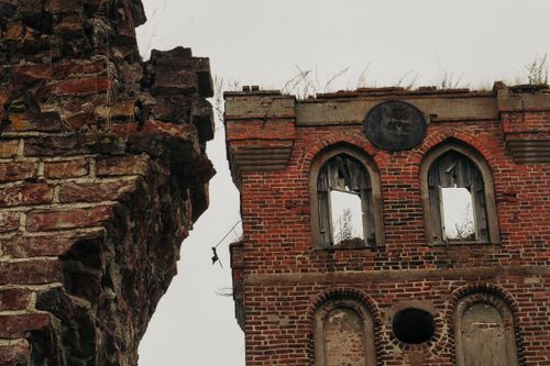 Free Explore the haunting beauty of an abandoned brick church in rural Kaliningrad Oblast, Russia. Stock Photo