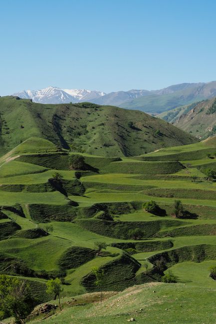 Scenic view of terraced green hills in Dagestan, Russia with snow-capped mountains in the background.