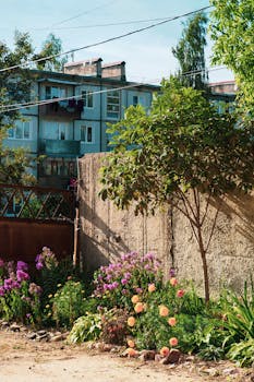 Borovsk Neighborhood