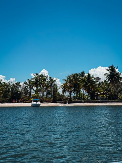 Free Serene tropical beach scene with lush palm trees and a boat by the shore under a clear blue sky. Stock Photo