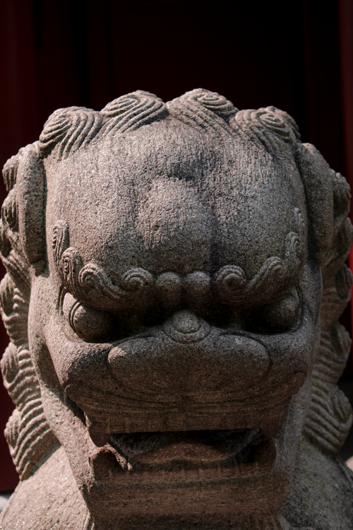 Free Close-up of a traditional stone Foo Dog sculpture showcasing Asian artistry in Montreal, Canada. Stock Photo
