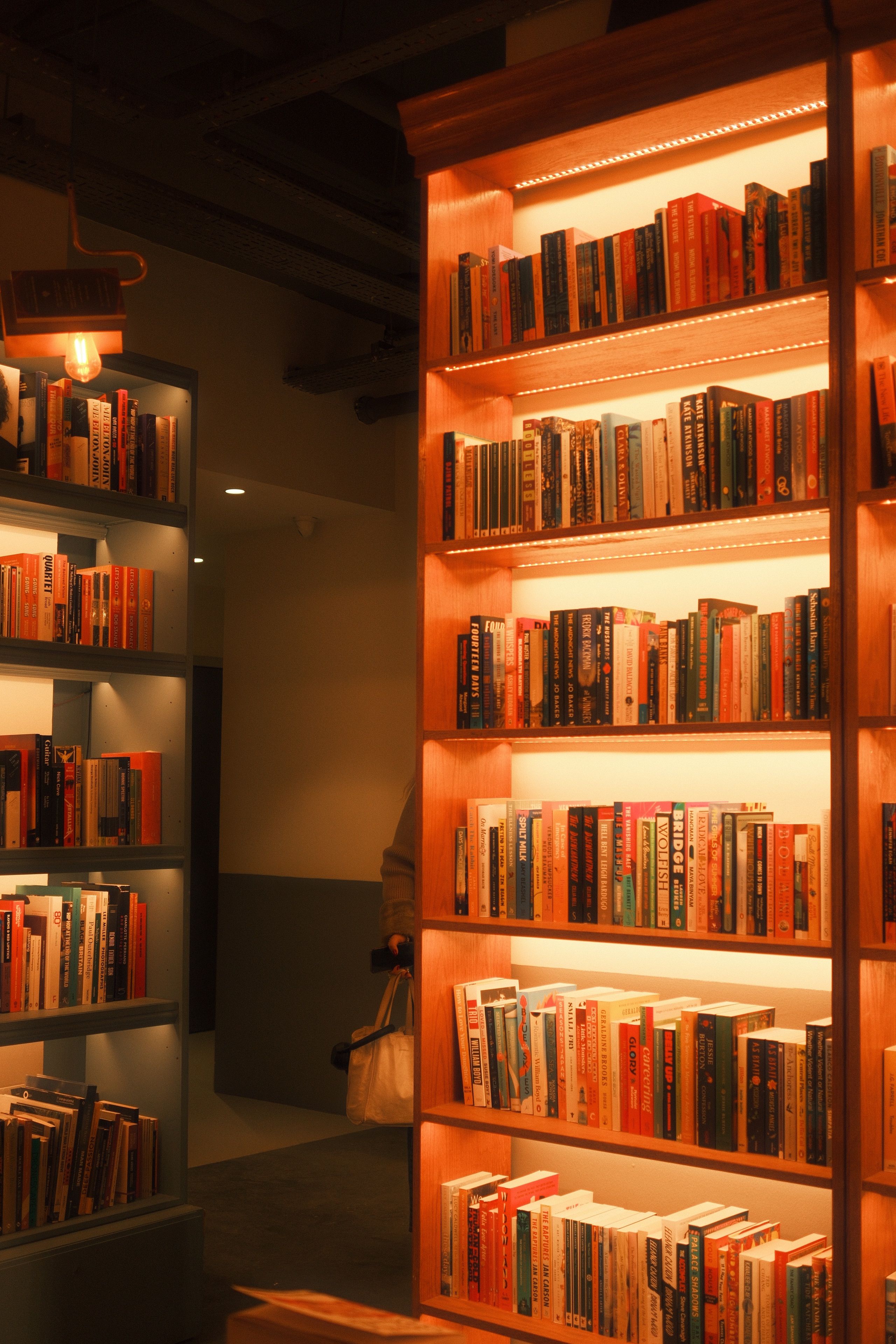 Cozy Library Bookshelves in Warm Lighting · Free Stock Photo