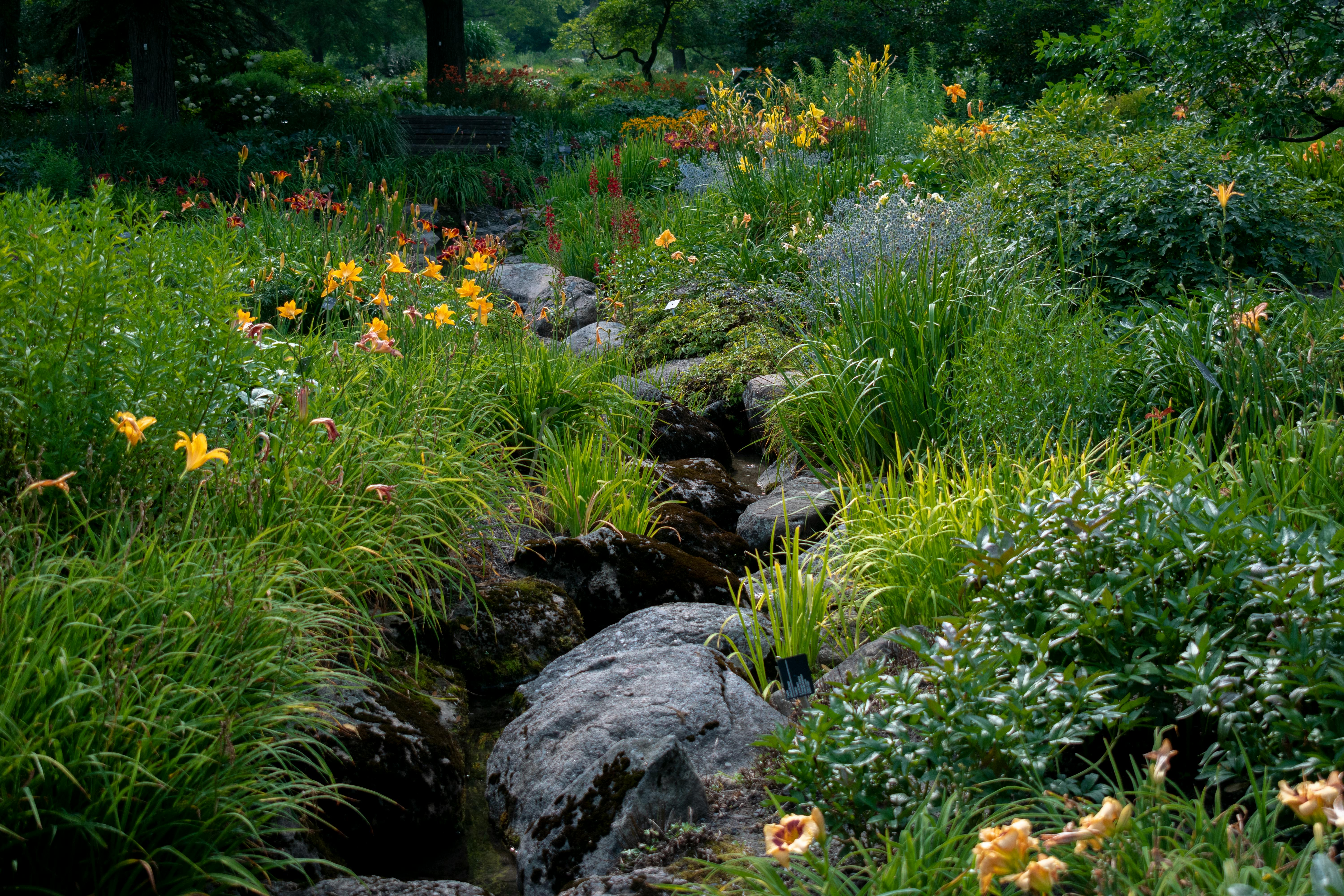 10 Astuces de Jardinage pour Économiser l'Eau