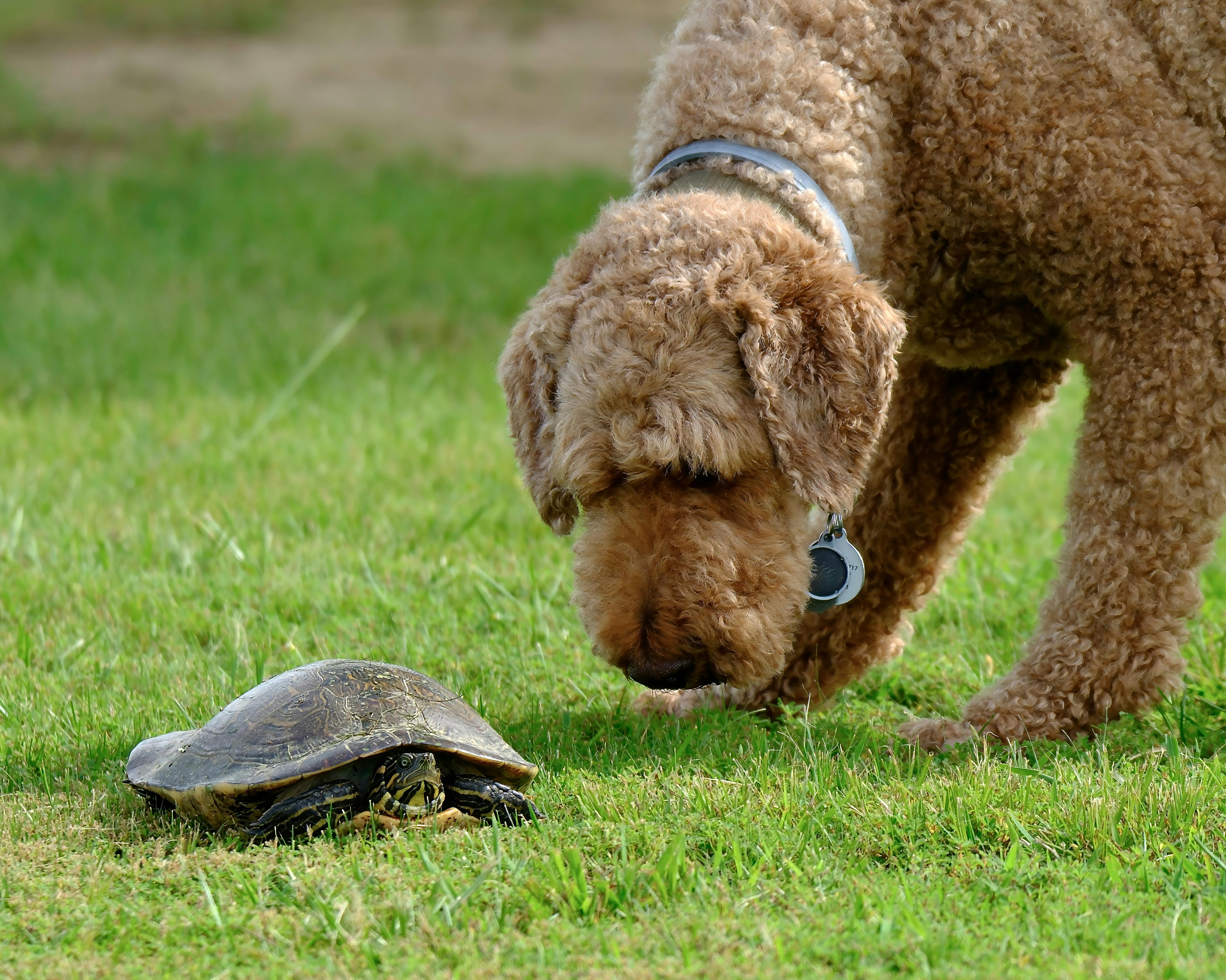 Exploring Alien Encounters: Mysteries Beyond Earth