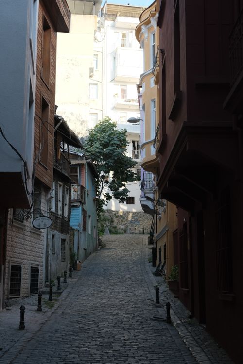Free A serene cobblestone street flanked by traditional architecture and lush greenery in the sunlight. Stock Photo