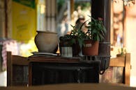 Cozy Indoor Setting with Potted Plants and Old Stove