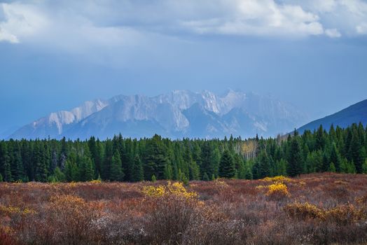 Breathtaking view of the Canadian Rockies with vibrant autumn foliage in Banff National Park, Alberta.