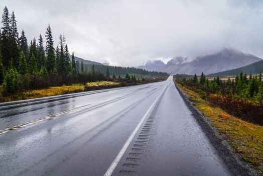 Icefields Parkway with glaciologist — Banff