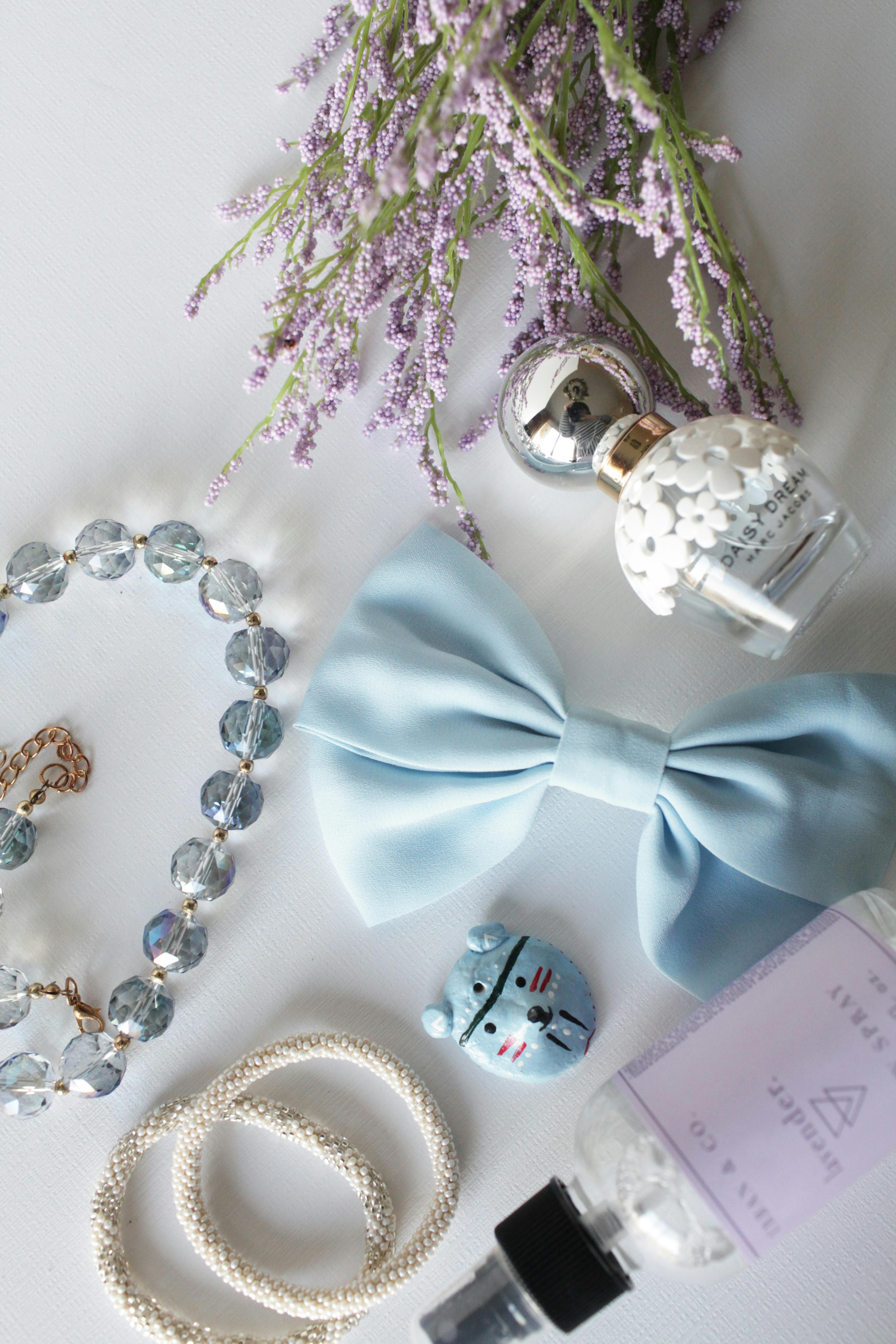 Blue Bow Accessory · Free Stock Photo