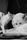 cat and dog