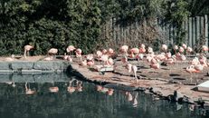 Ecoparque BA