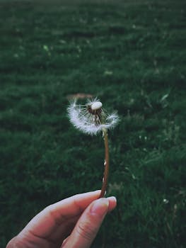 在宁静的户外，一只手巧妙地握住车把，停在郁郁葱葱的绿地上