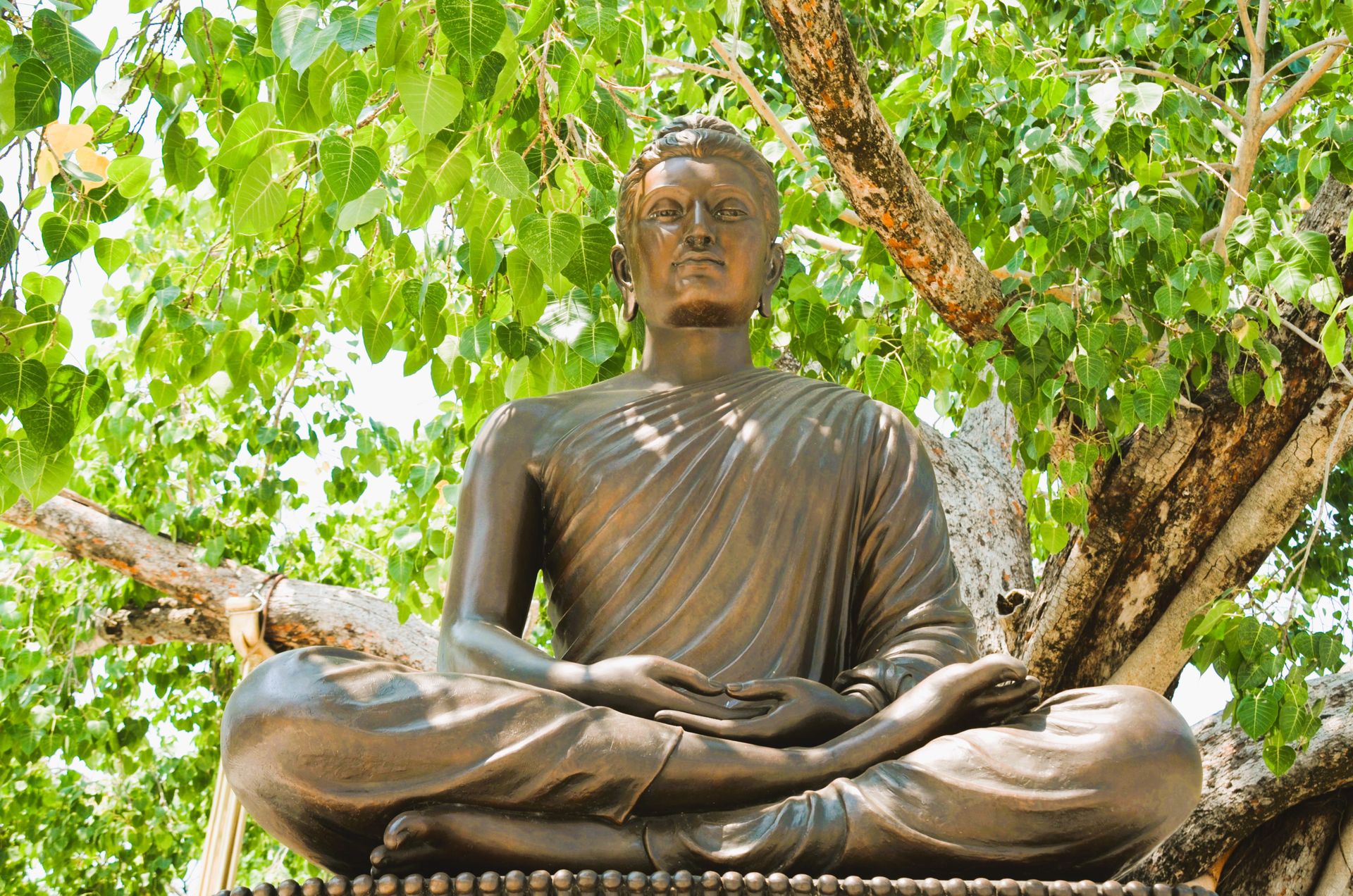 Bronze Buddha statue meditating under a Bodhi tree, symbolizing tranquility and enlightenment.