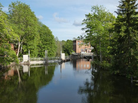 A cheetah spotted near Pagara Dam in Morena.  Wildlife sighting creates excitement in Madhya Pradesh.