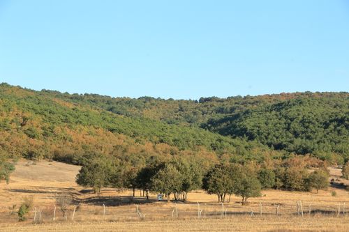 Free Expansive landscape of green and brown hills under a clear blue sky. Stock Photo