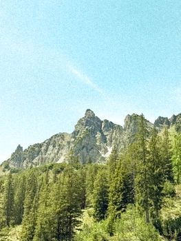 A breathtaking view of rugged mountains rising above a dense evergreen forest under a clear blue sky.