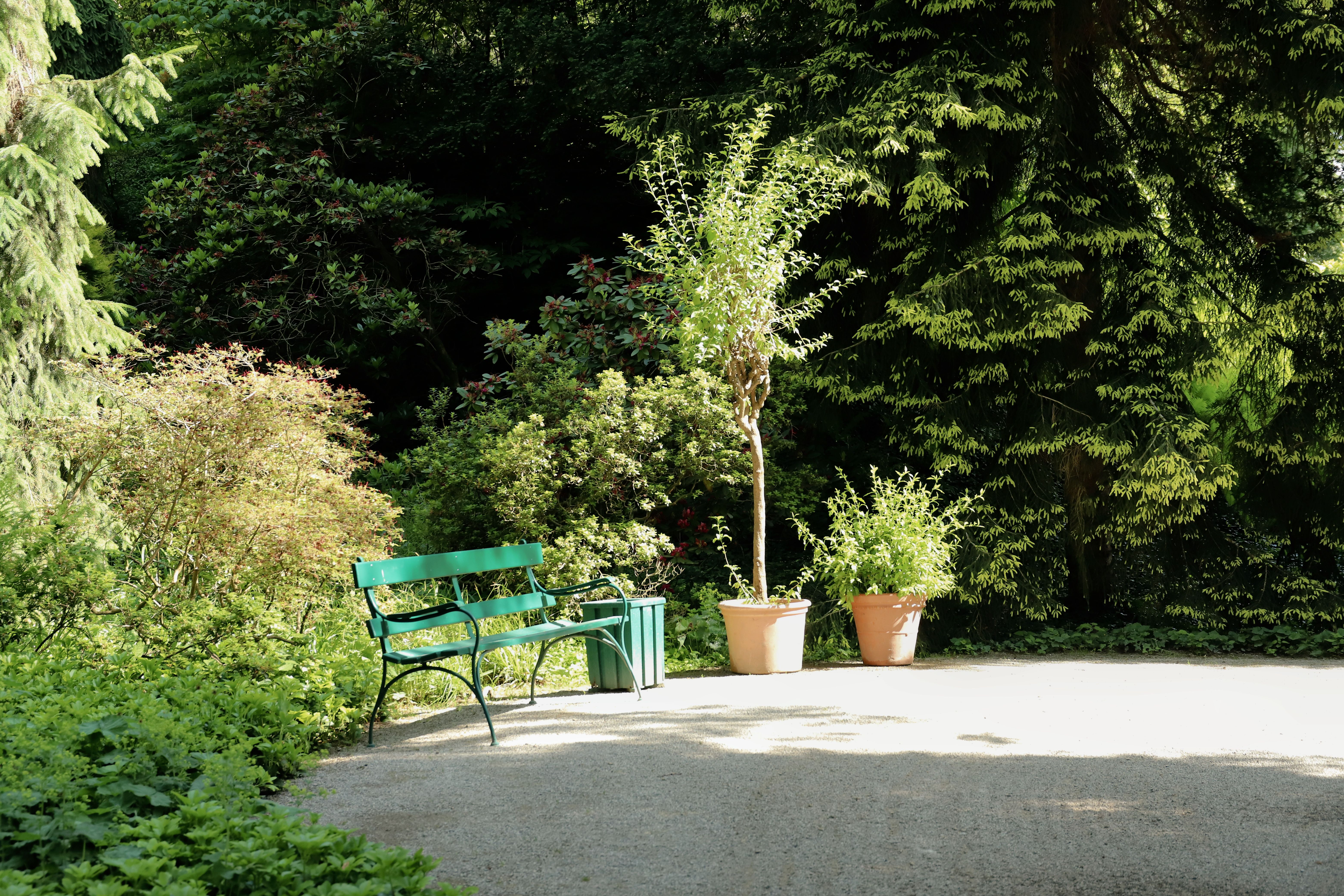 Free A tranquil park bench in a sun-drenched garden surrounded by lush greenery. Stock Photo