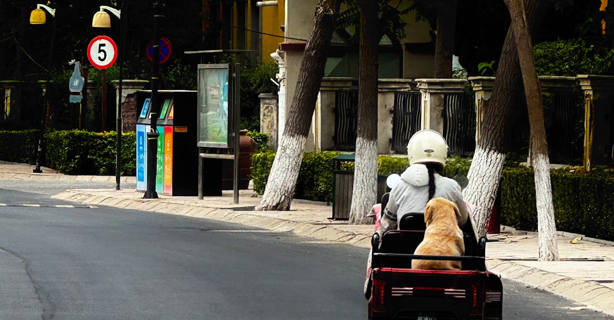 國際慢城大會今韓國登場 東引鄉分享推動成果