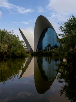 Stunning view of Valencia's modern architecture reflected in water, showcasing unique design.