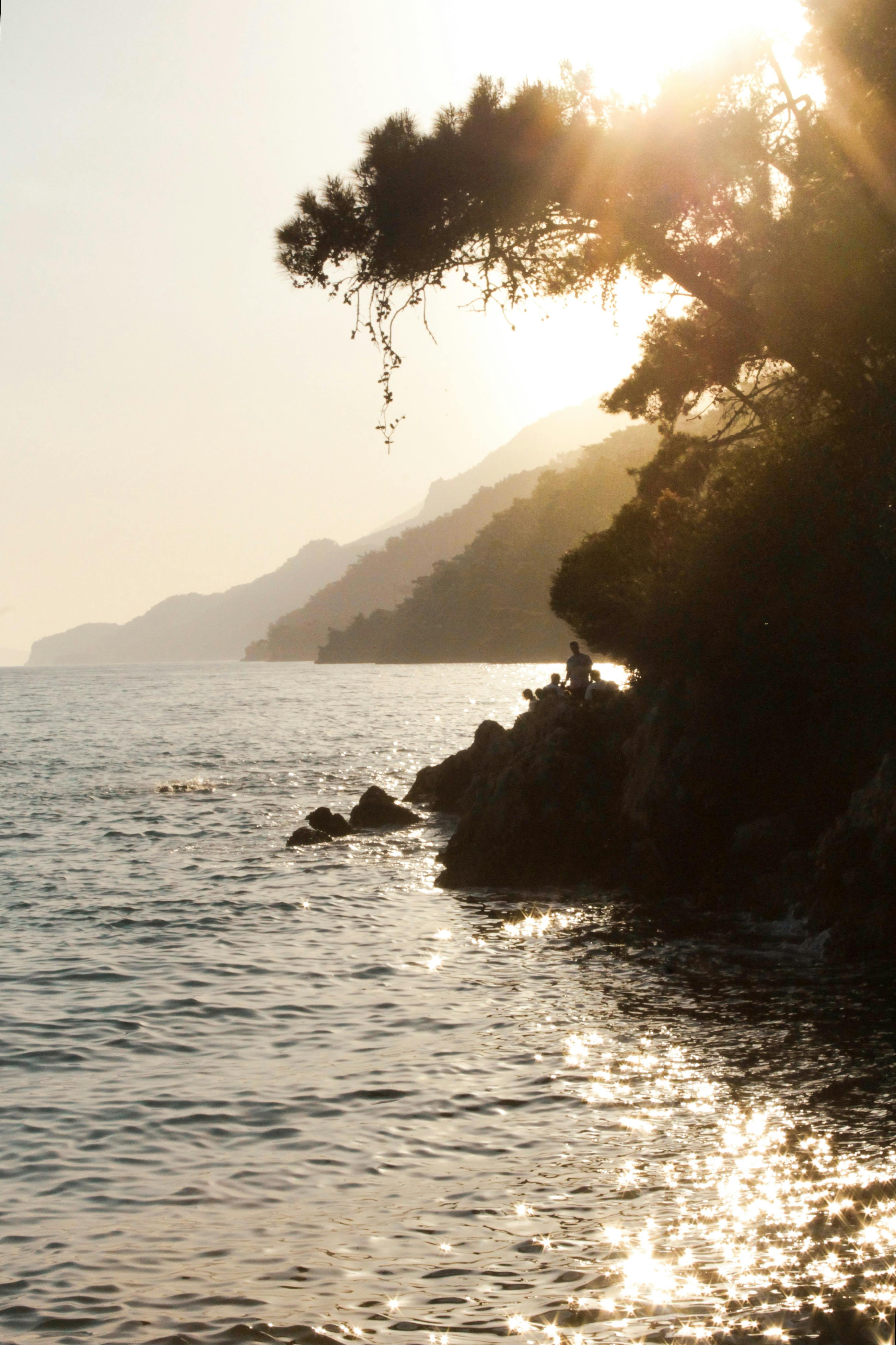 Peaceful sunset view over a rocky coastline with silhouetted trees and glittering sea.