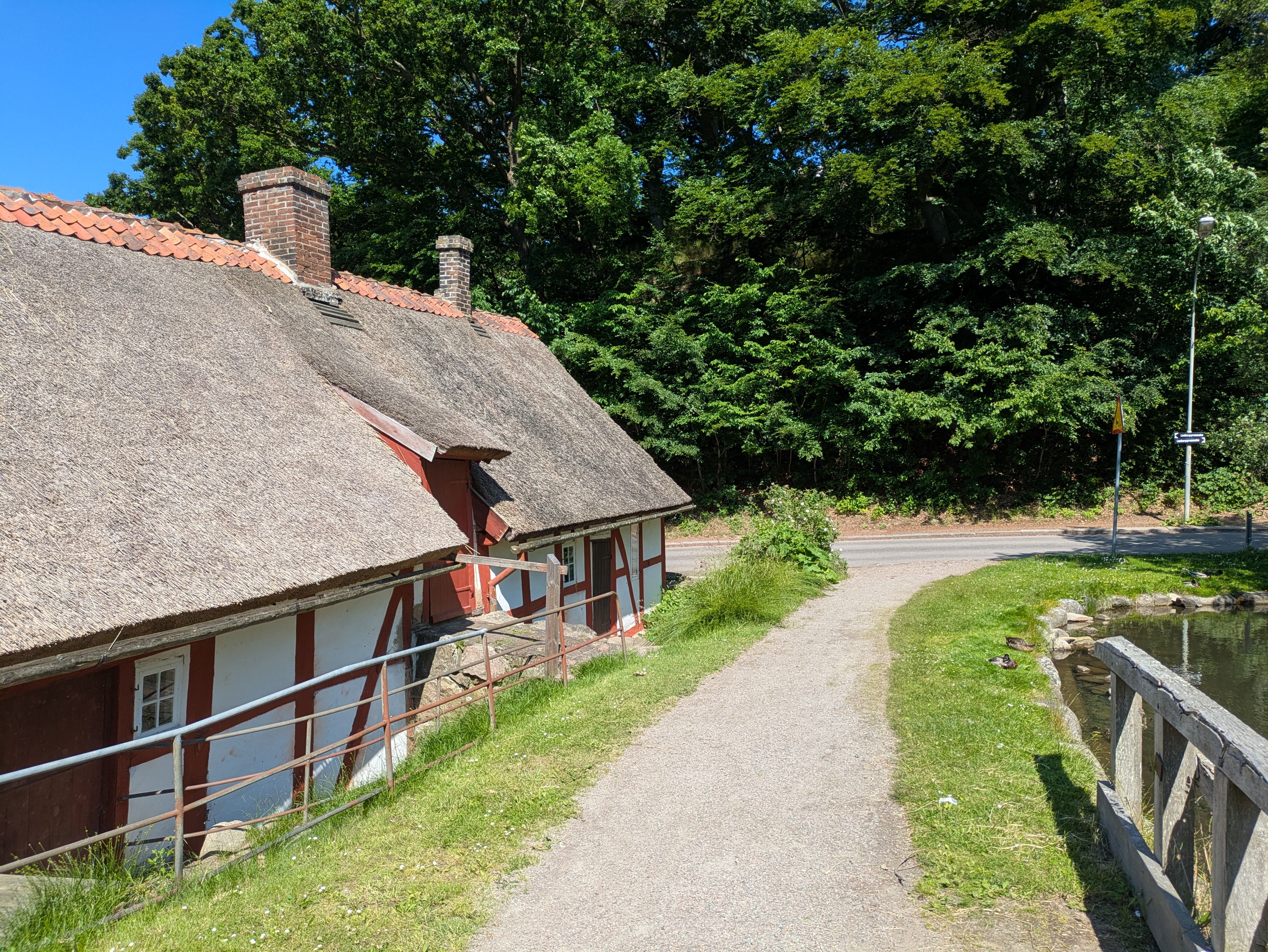 Idyllic thatched roof cottage beside a forest path on a sunny day, ideal for nature retreats.