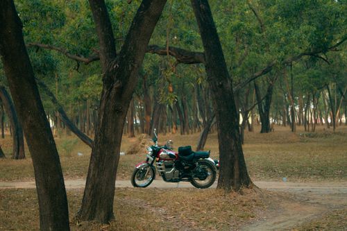 Free A vintage motorcycle parked on a serene forest path surrounded by lush greenery. Stock Photo