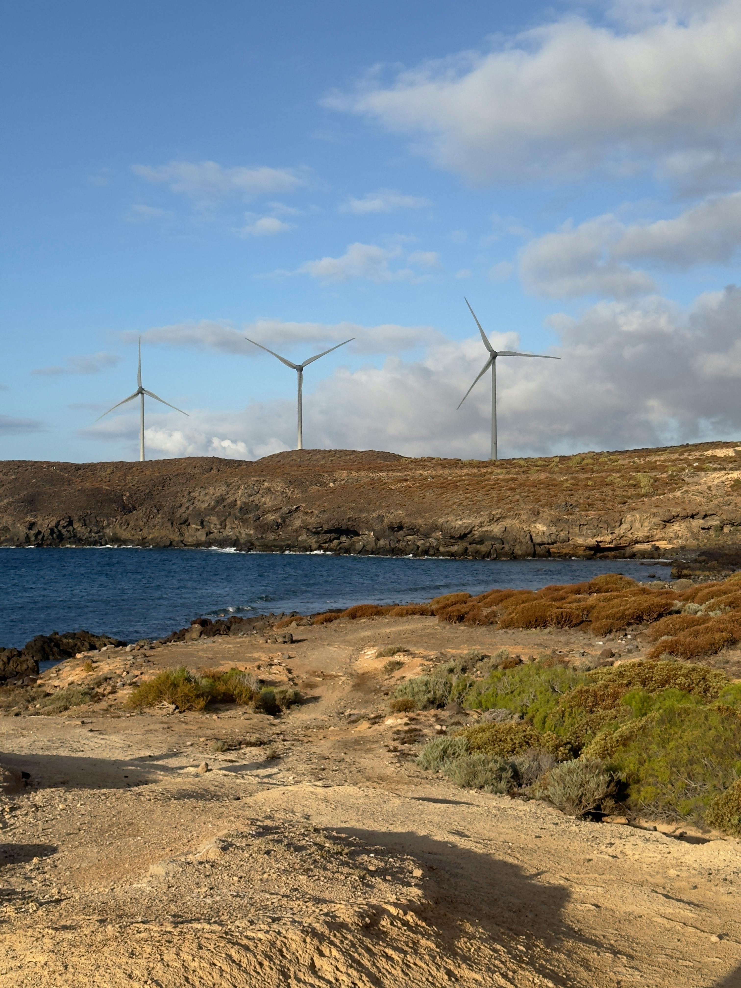 Wind turbines near the coast