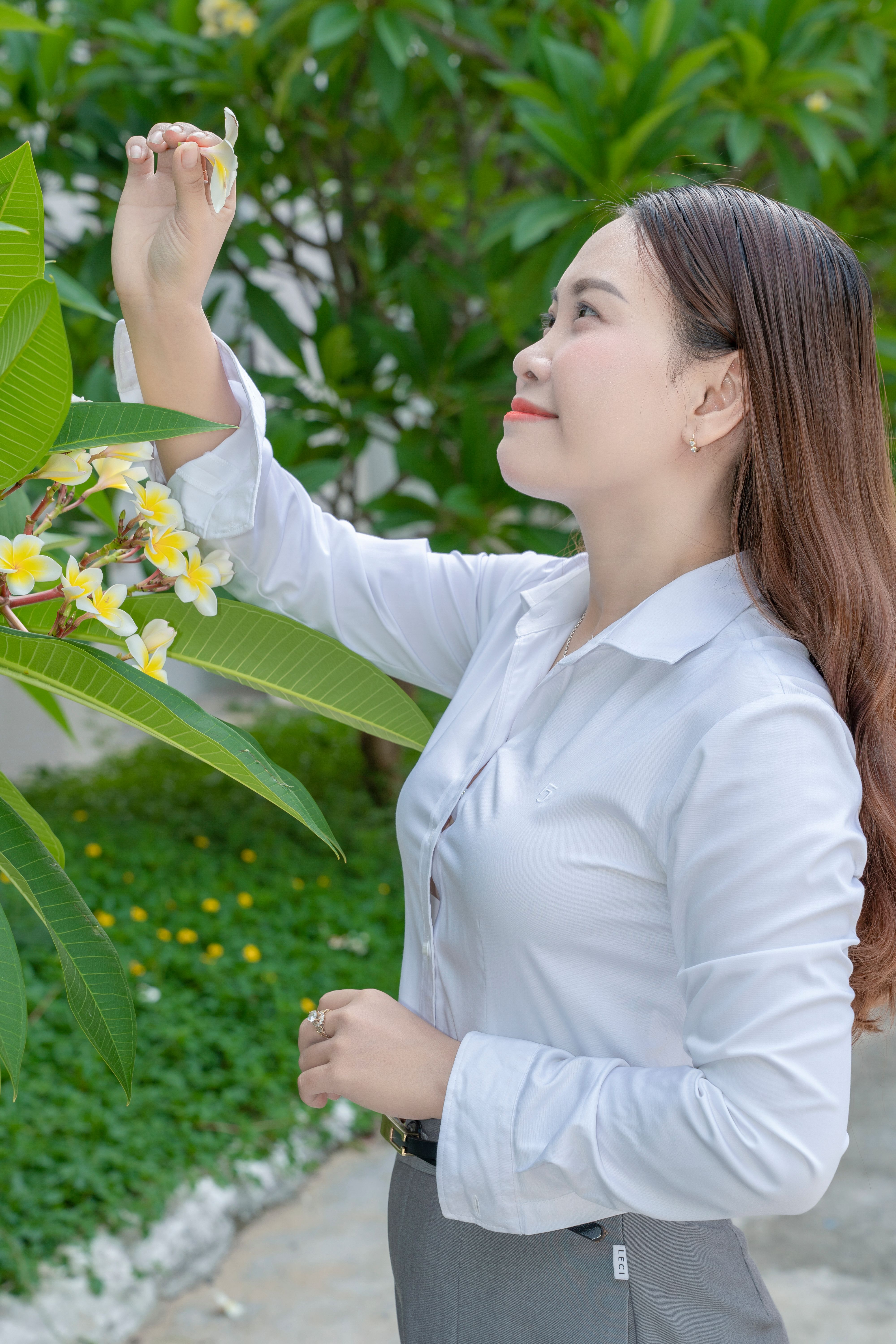 Woman Admiring Plumeria Flowers in Garden