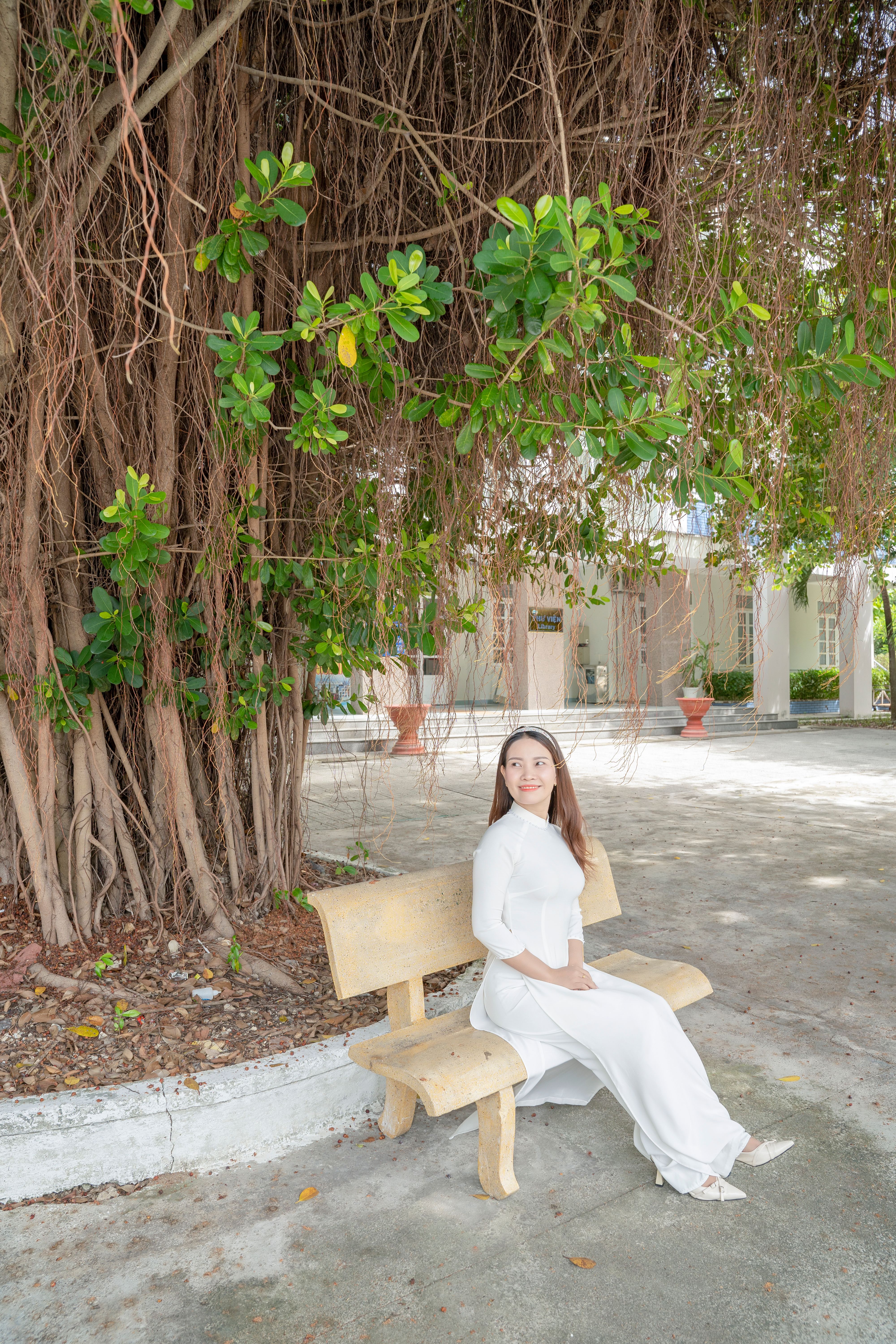 Woman in White Dress Sitting on Park Bench under Tree · Free Stock Photo