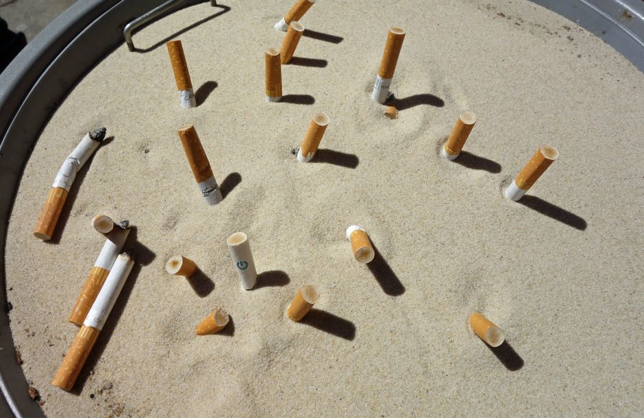 how to mitigate environmental toxins for better health