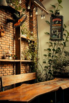 Warm rustic cafe interior with wooden bench, vintage decor, and leafy plants.
