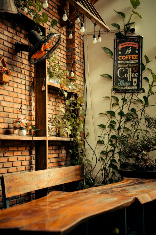 Free Warm rustic cafe interior with wooden bench, vintage decor, and leafy plants. Stock Photo