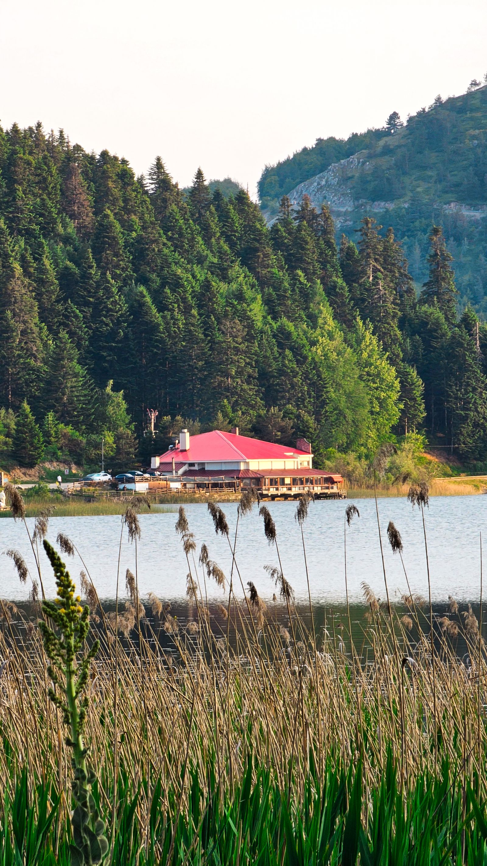 A lakeside cabin nestled among trees beside calm water