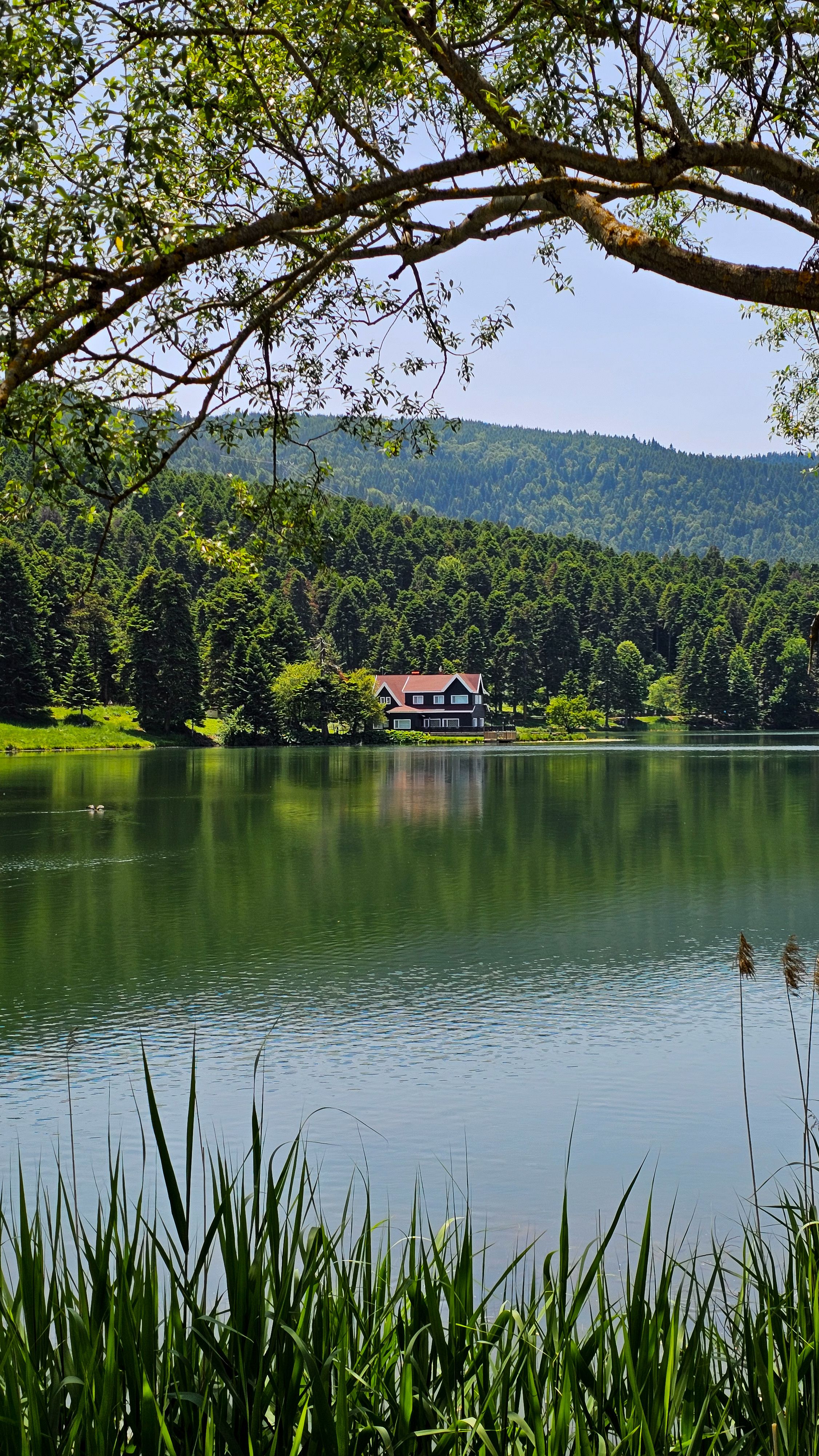 A peaceful lakeside house nestled among lush greenery with mountain backdrop, captured in summer.
