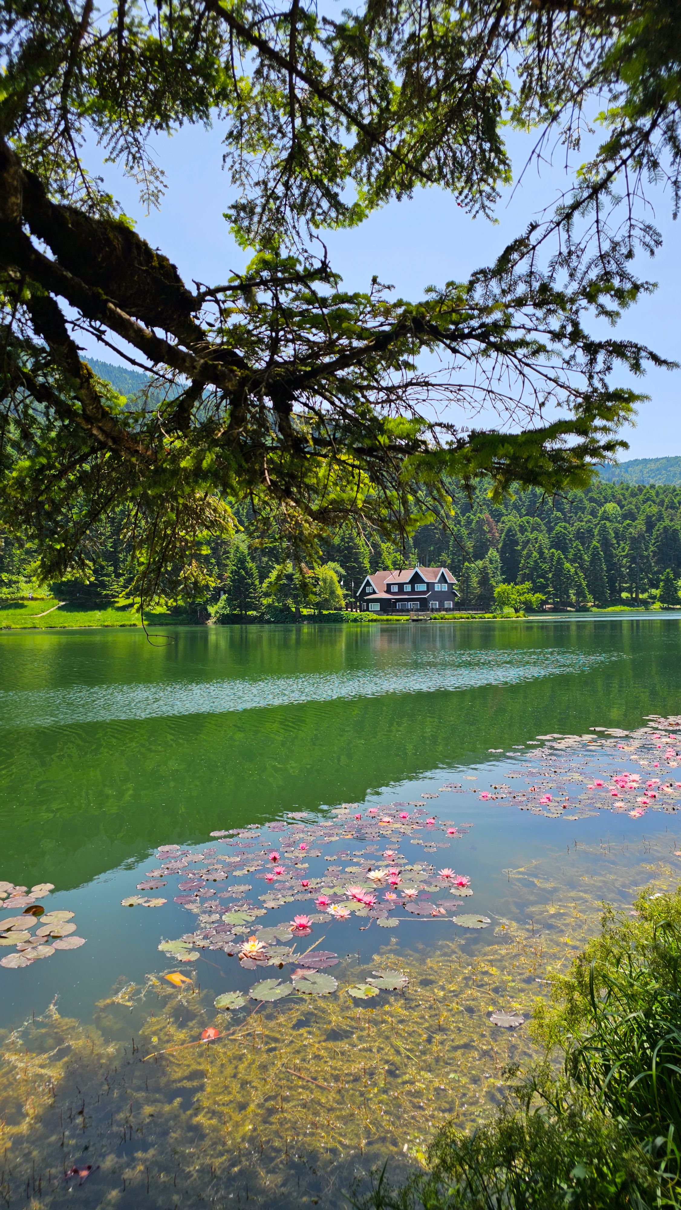 Picturesque lake with green forest and a house on the shore, ideal for nature lovers.