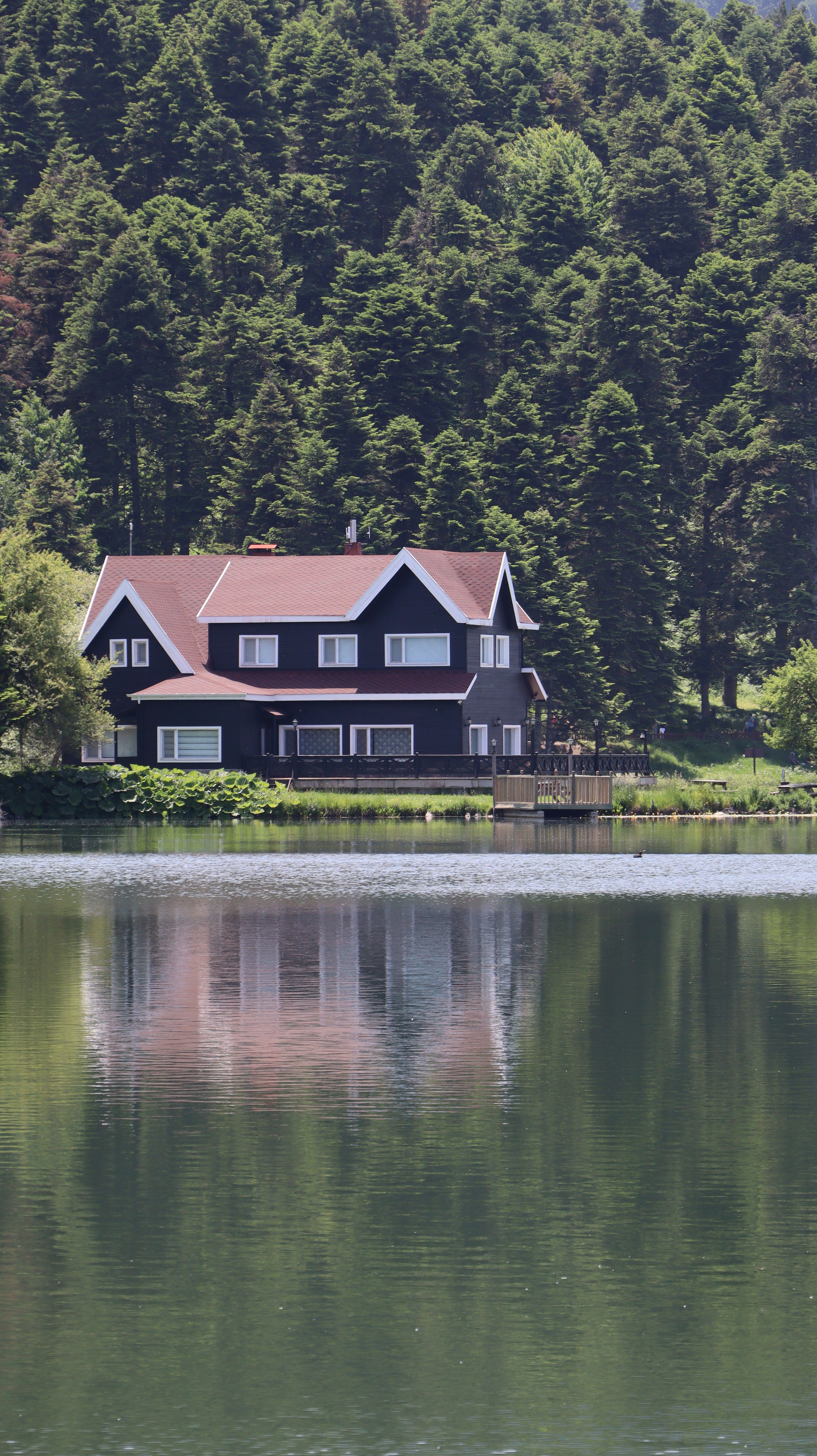 Charming red-roof house reflected in a tranquil lake surrounded by lush pine trees.