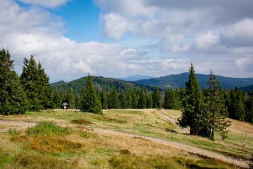 Free Scenic landscape of forests and meadows in Małopolskie, Poland under a cloudy sky. Stock Photo