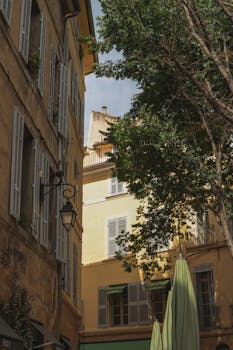 Sunlit European buildings with shutters, trees, and a classic street lamp create a serene atmosphere.