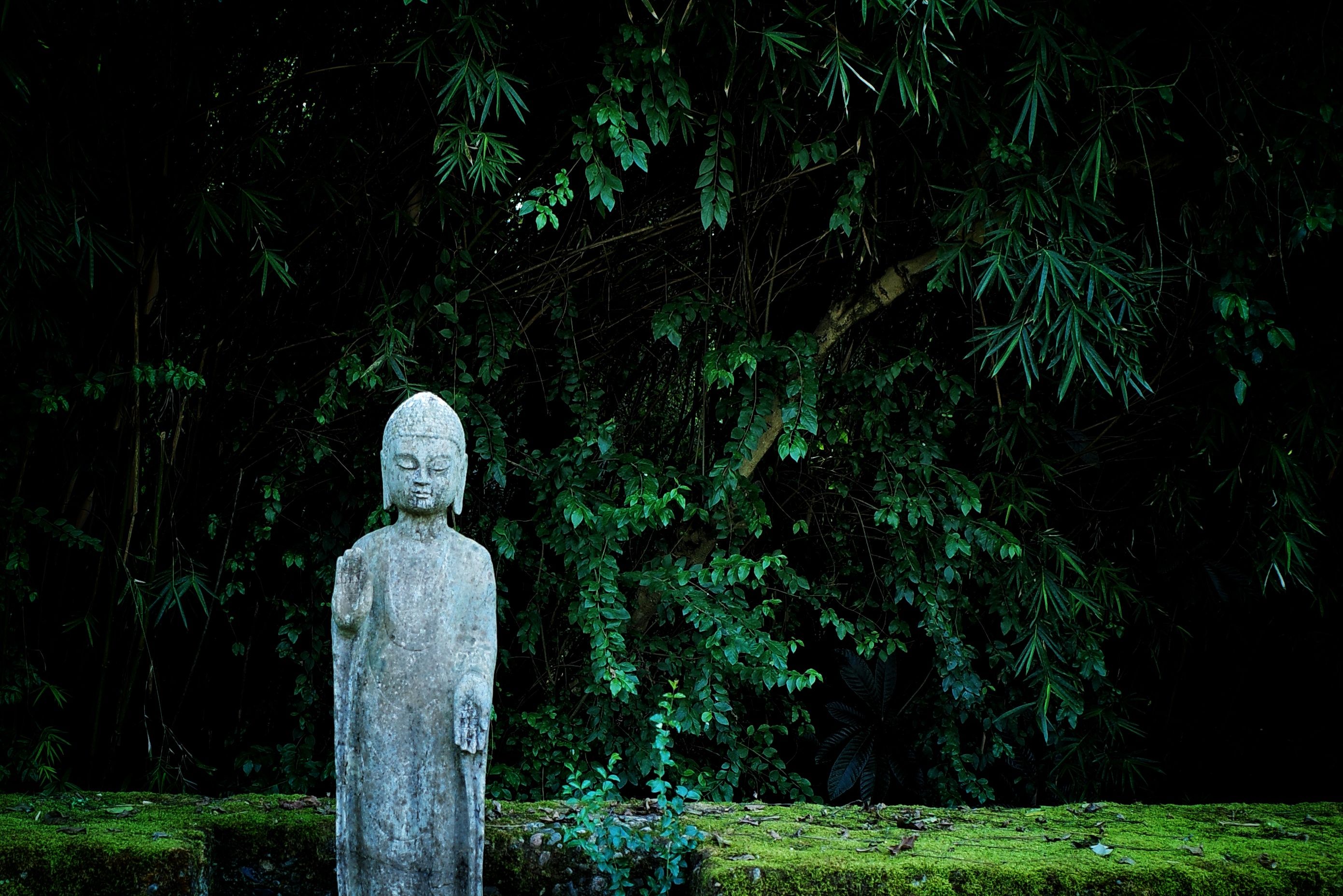 Osogbo sacred grove sculpture forest
