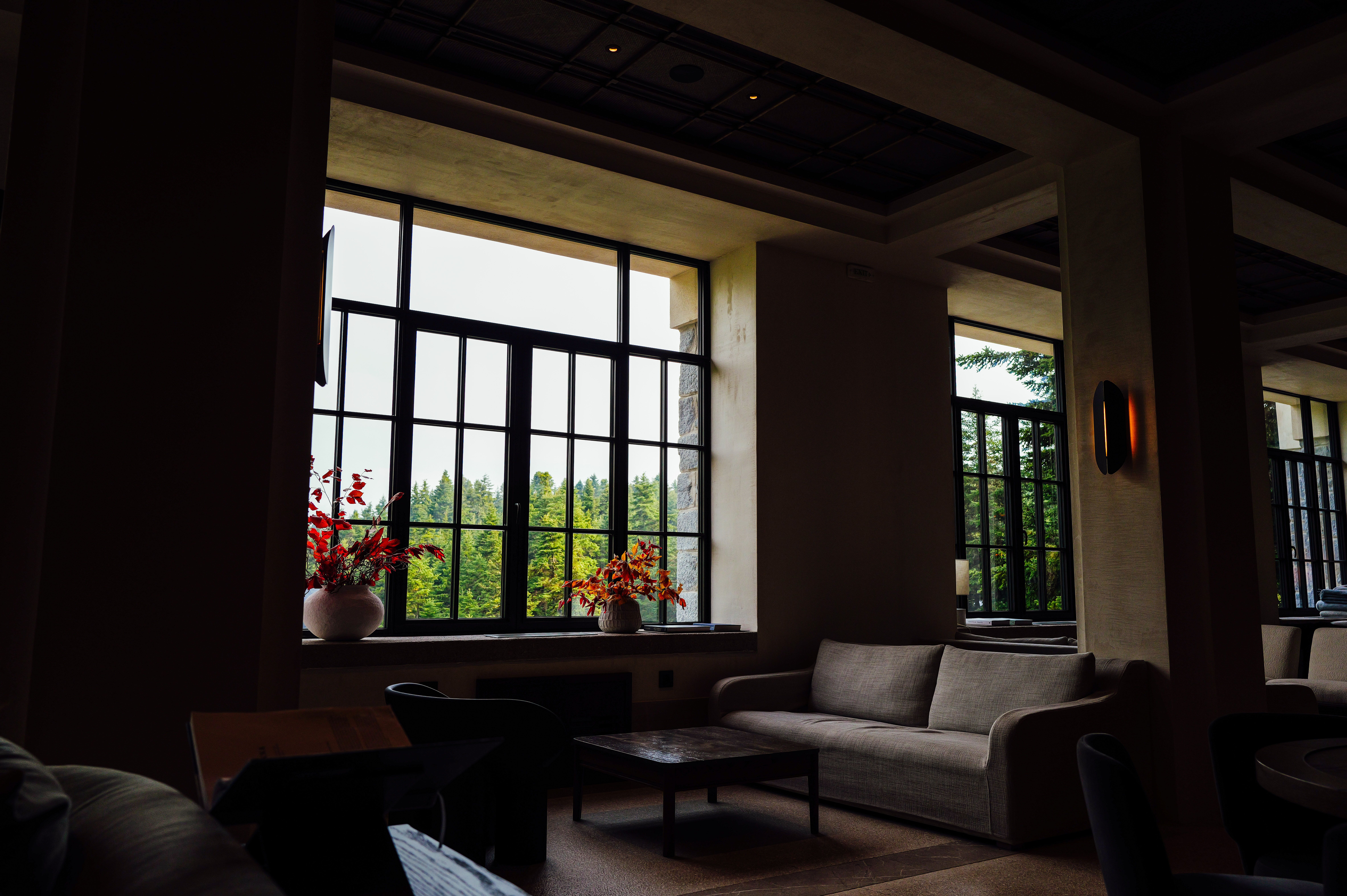 daily reset natural light lifestyle photo 2