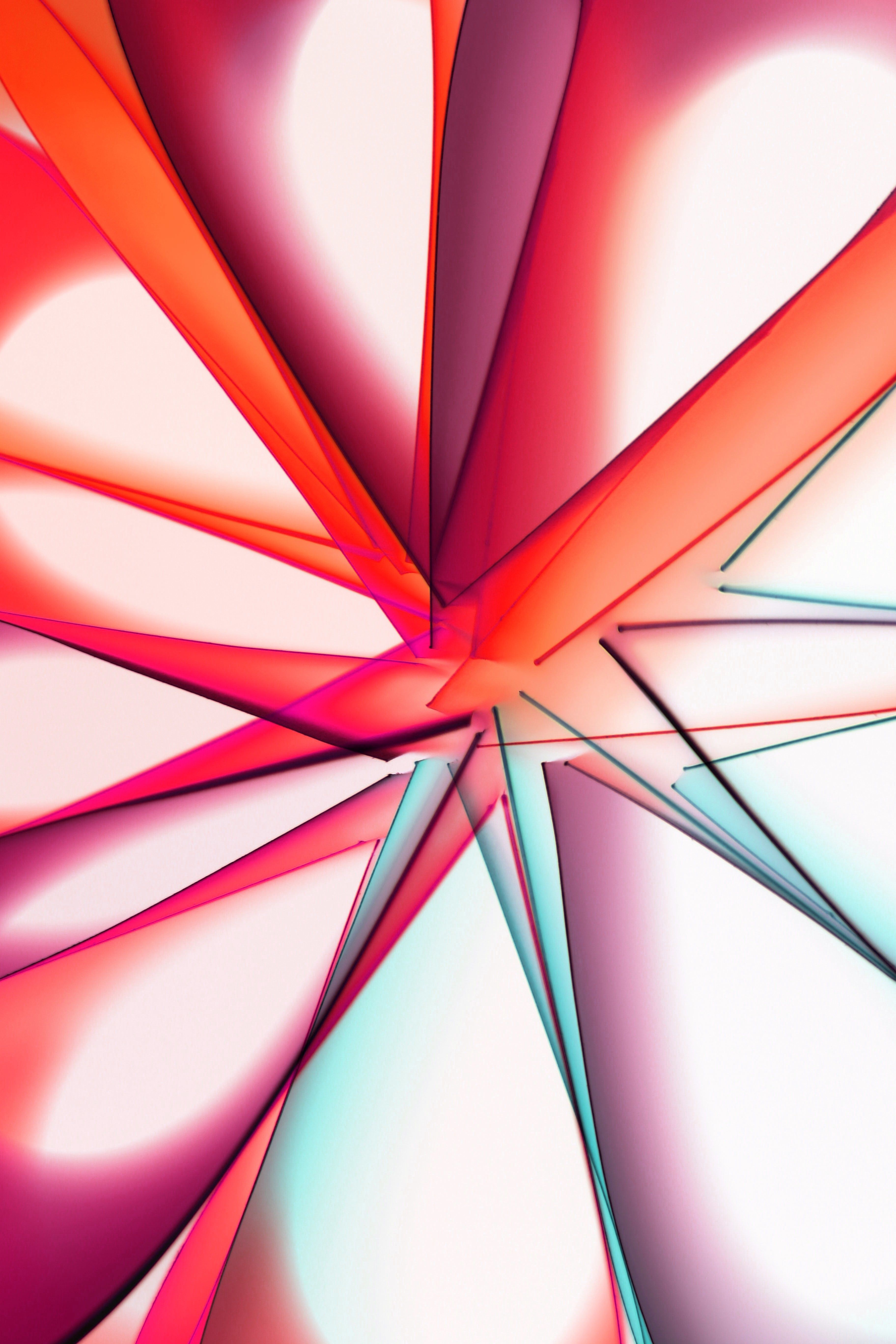 Colorful abstract design featuring bold reds and soft pink gradients.
