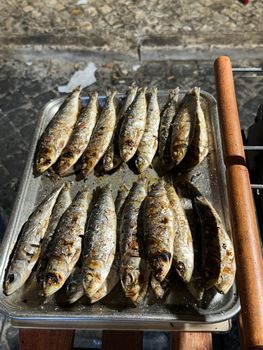 Sardine — Sardina