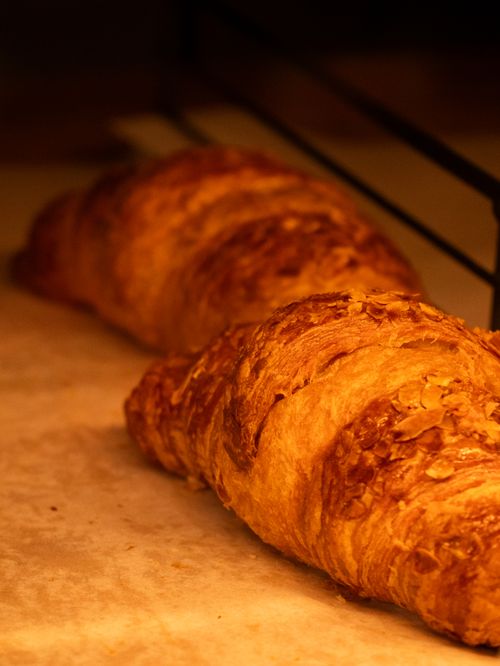 Free Freshly baked croissants with a golden crust on a baking tray Stock Photo