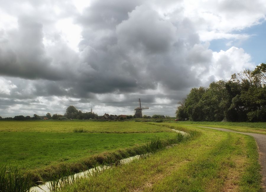 Serene landscape featuring a traditional Dutch windmill and vast green fields under a dramatic sky in Halfweg, Netherlands.