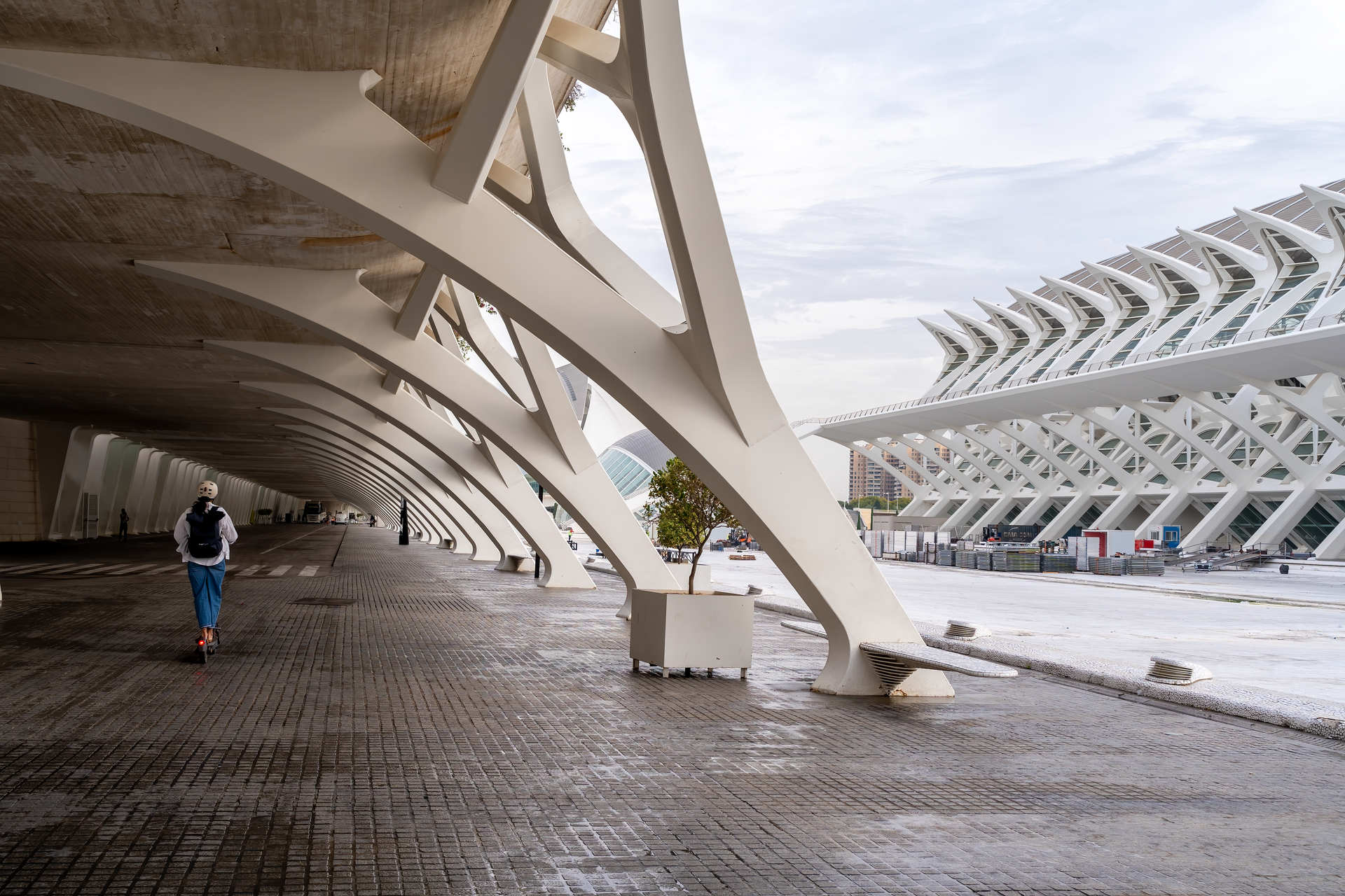 Explore the modern architecture of Valencia's City of Arts and Sciences on a cloudy day.